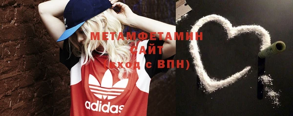 индика Бронницы