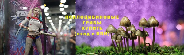 индика Бронницы