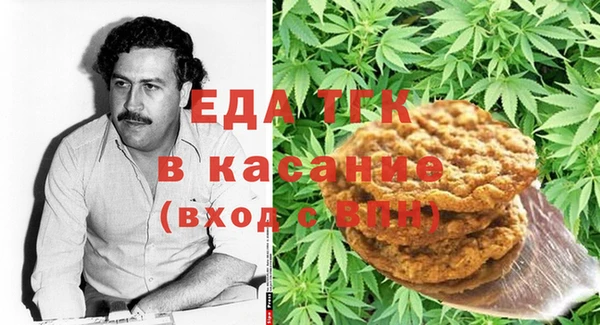 индика Бронницы