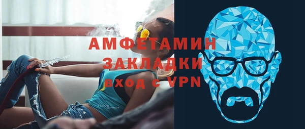 индика Бронницы