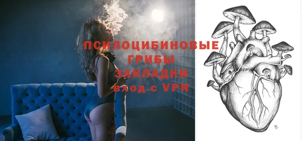 индика Бронницы
