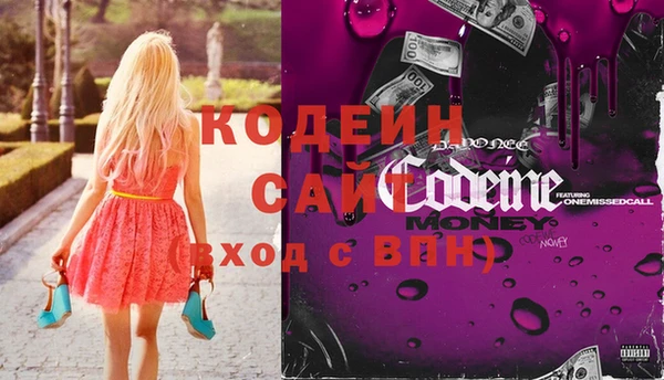 индика Бронницы