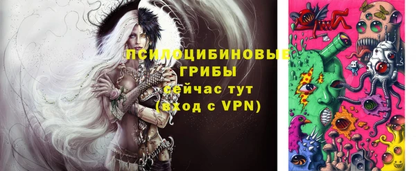 индика Бронницы