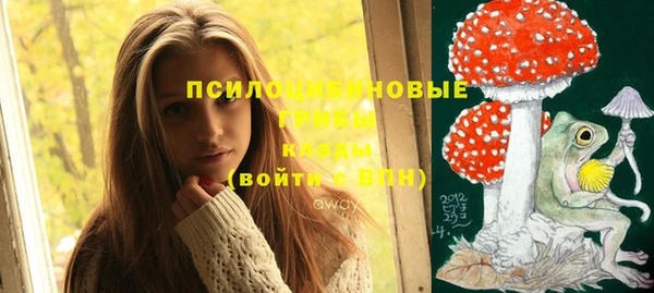героин Бородино
