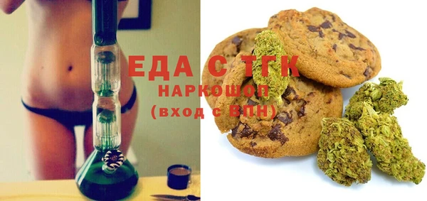 индика Бронницы