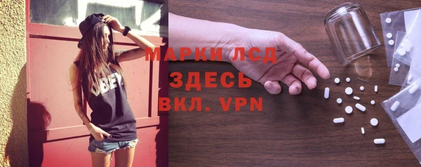индика Бронницы
