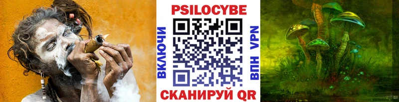 Псилоцибиновые грибы мицелий  Кызыл 